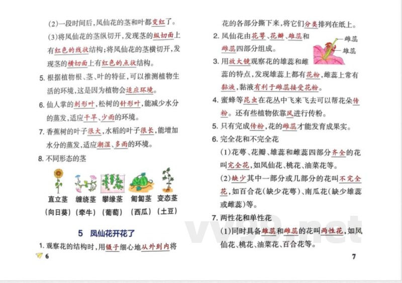 四年级科学下册知识点笔记 四年级科学下册知识点笔记