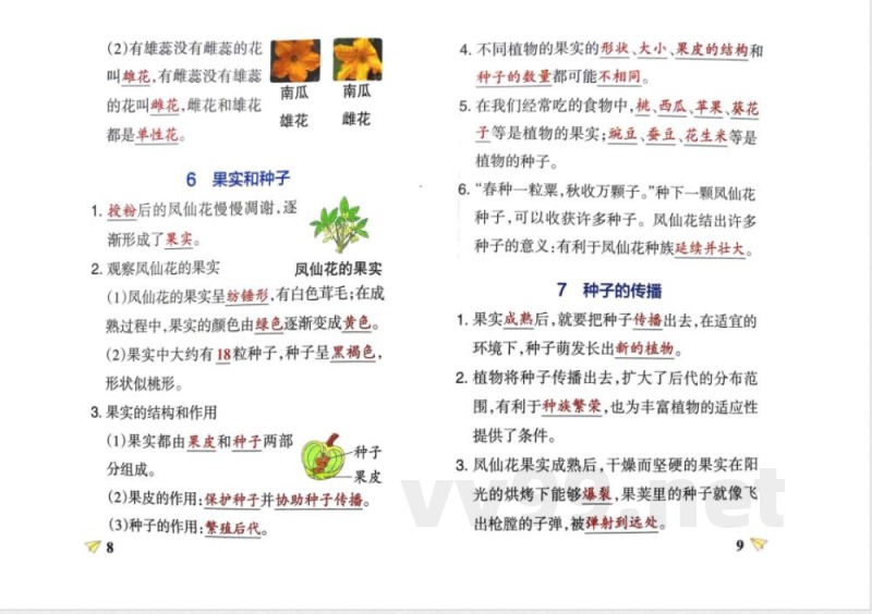 四年级科学下册知识点笔记 四年级科学下册知识点笔记