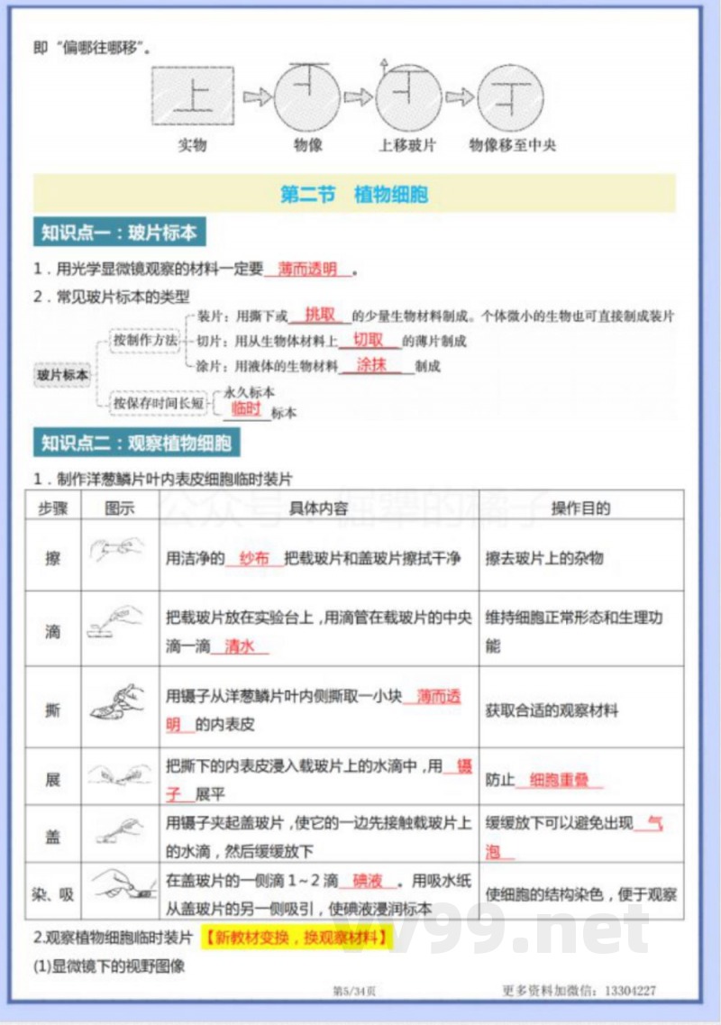 2024版七年级上册人教生物知识点梳理. 2024版七年级上册人教生物知识点梳理.