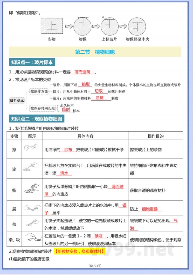 2024版七年级上册人教生物知识点梳理