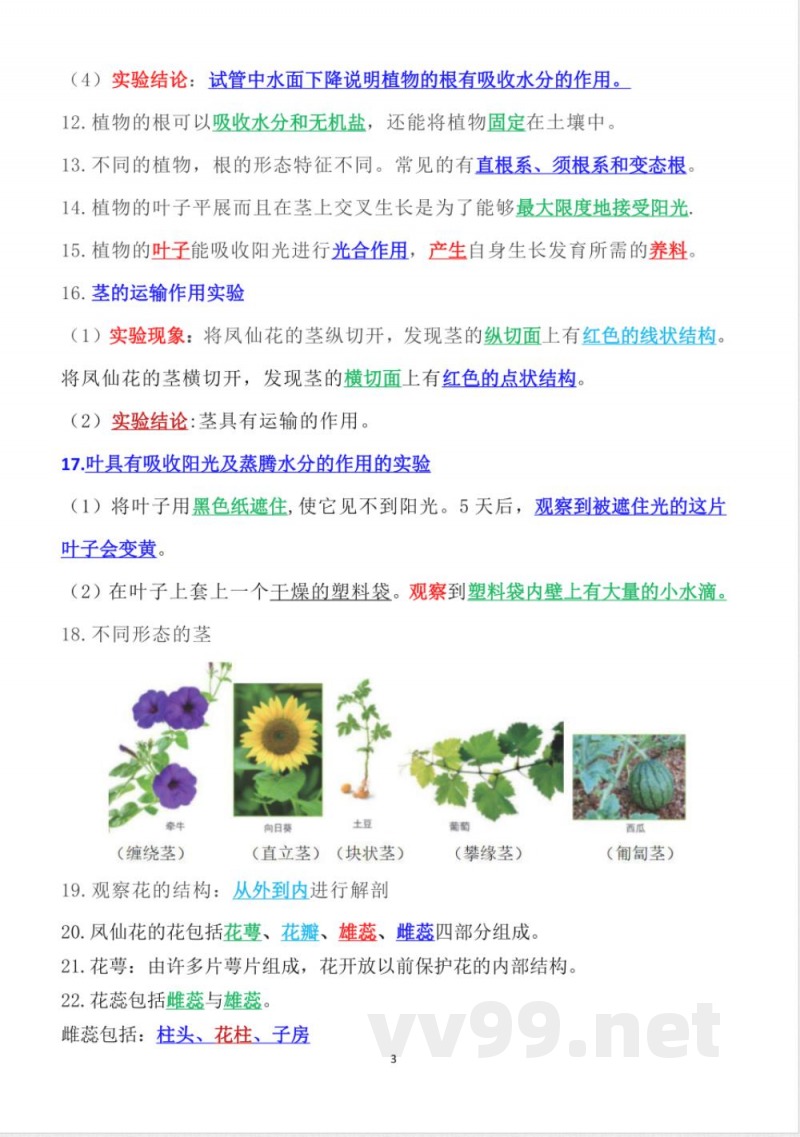 新改版教科版四年级下册科学知识点总结 新改版教科版四年级下册科学知识点总结