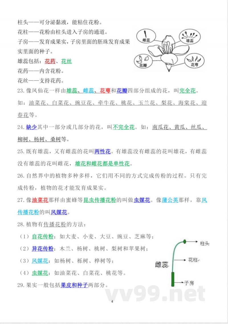 新改版教科版四年级下册科学知识点总结 新改版教科版四年级下册科学知识点总结