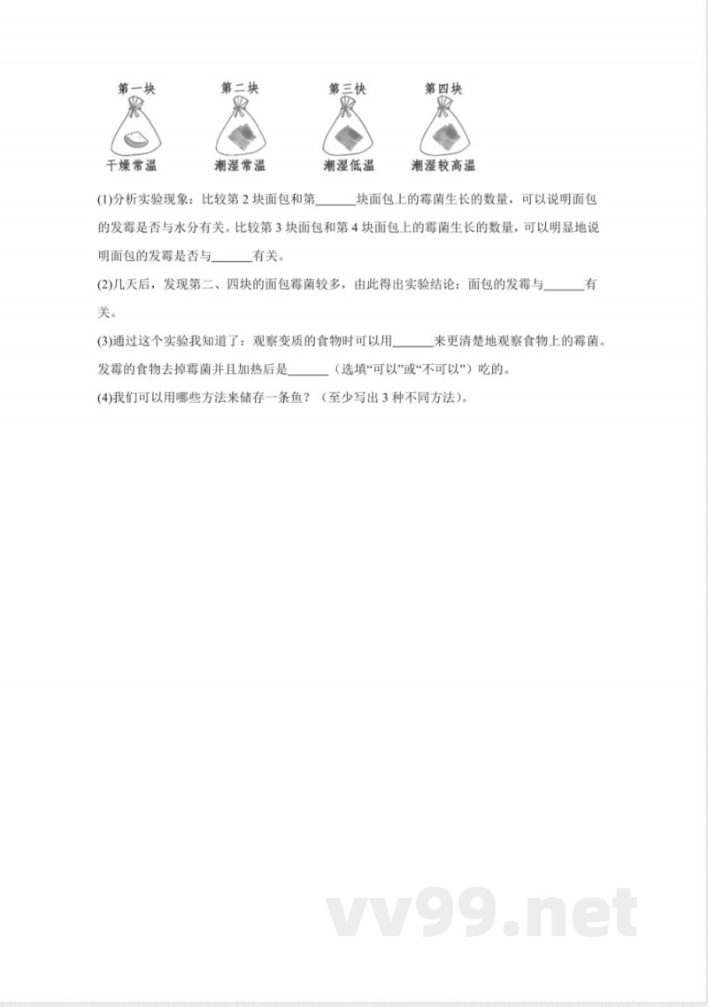 第四单元 多样的生物(单元测试)五年级科学下册(冀人版) 第四单元 多样的生物(单元测试)五年级科学下册(冀人版)