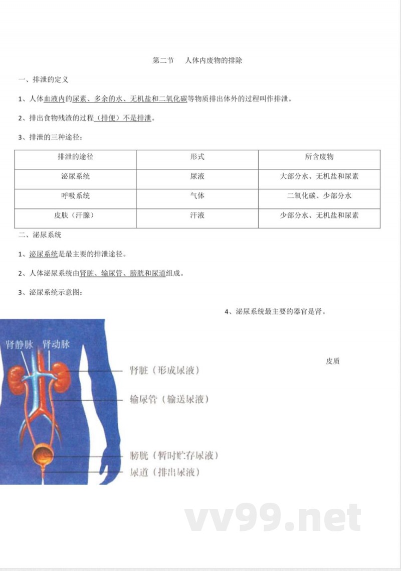 苏科版-八年级生物上册-知识点总结 苏科版-八年级生物上册-知识点总结