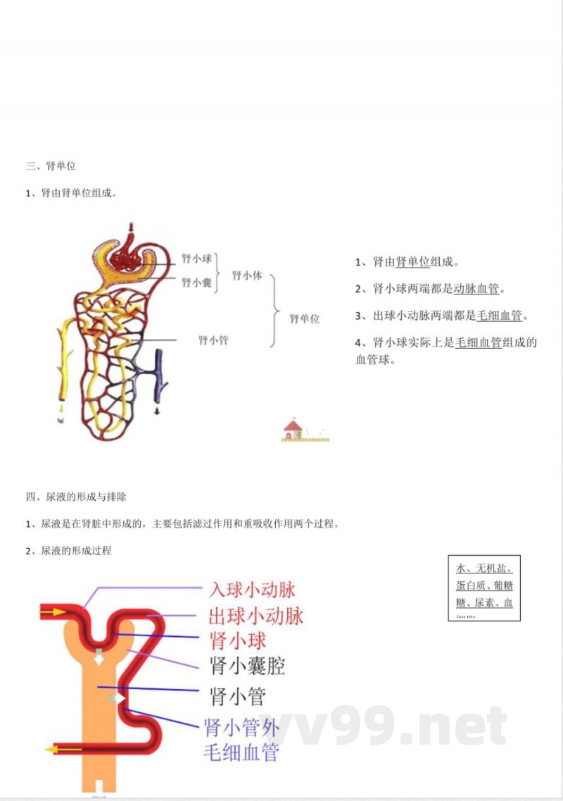苏科版-八年级生物上册-知识点总结 苏科版-八年级生物上册-知识点总结