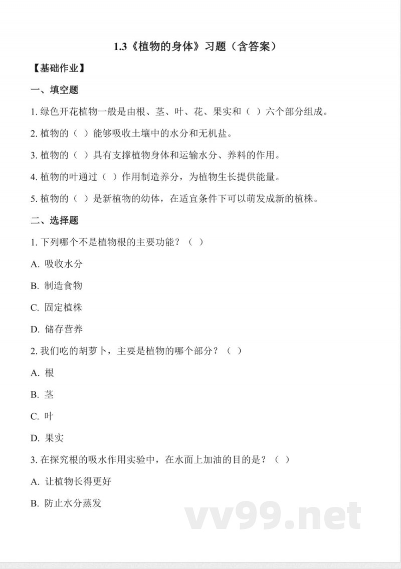 1.3 植物的“身体”(分层作业)科学冀人版三年级上册2025 1.3 植物的“身体”(分层作业)科学冀人版三年级上册2025
