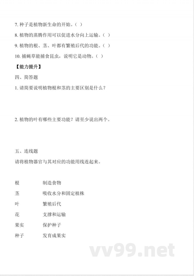 1.3 植物的“身体”(分层作业)科学冀人版三年级上册2025 1.3 植物的“身体”(分层作业)科学冀人版三年级上册2025