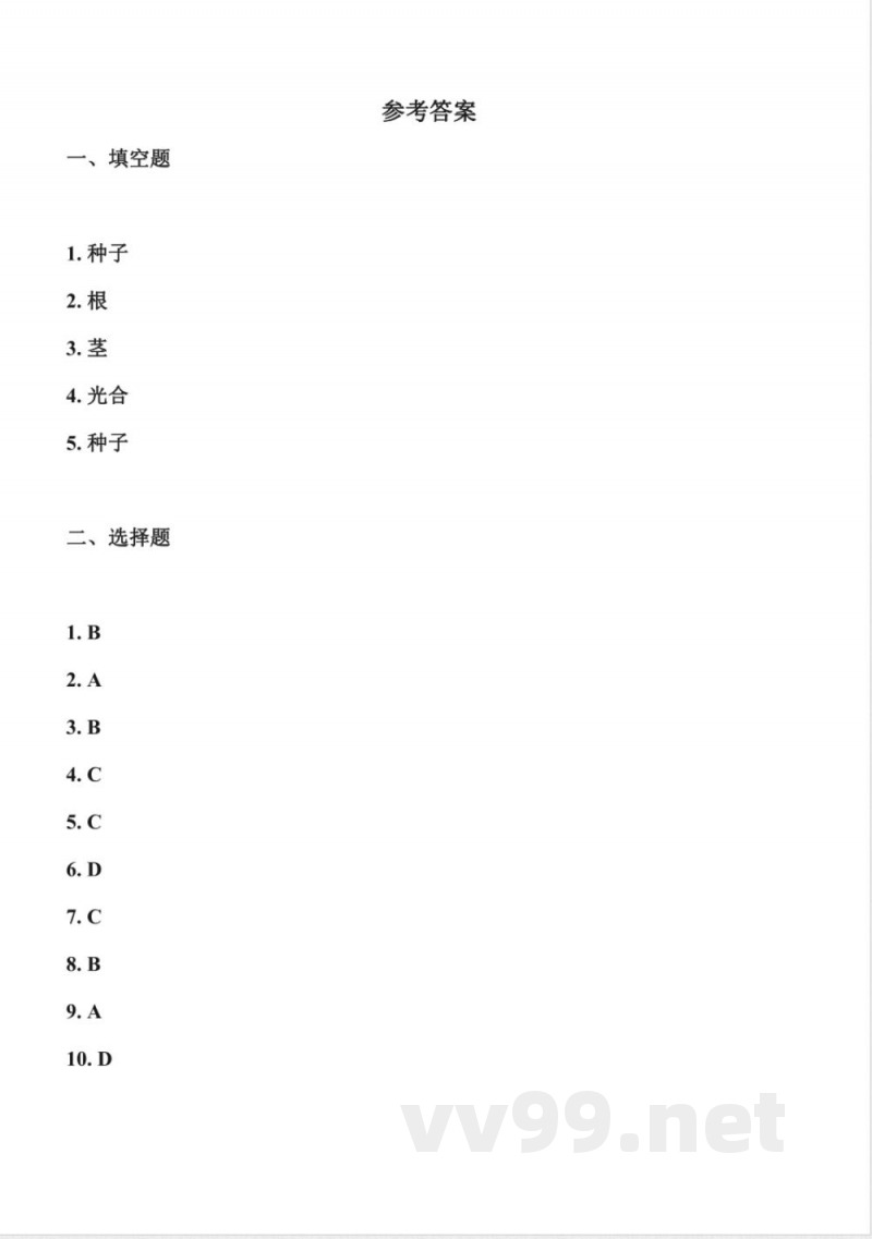 1.3 植物的“身体”(分层作业)科学冀人版三年级上册2025 1.3 植物的“身体”(分层作业)科学冀人版三年级上册2025