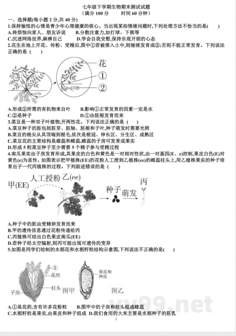 七年级下学期生物期末考试试题(含答案)(适合济南版)济南版(2024)七年级下册(2024) 七年级下学期生物期末考试试题(含答案)(适合济南版)济南版(2024)七年级下册(2024)