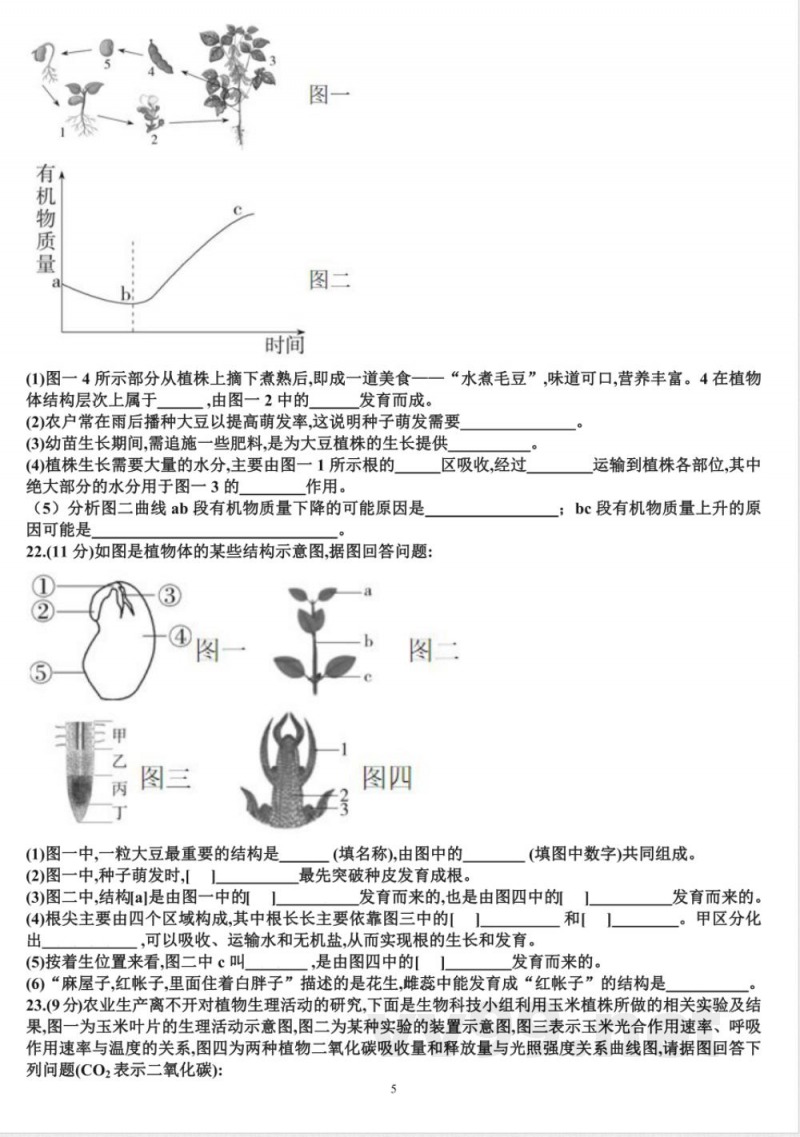 七年级下学期生物期末考试试题(含答案)(适合济南版)济南版(2024)七年级下册(2024) 七年级下学期生物期末考试试题(含答案)(适合济南版)济南版(2024)七年级下册(2024)