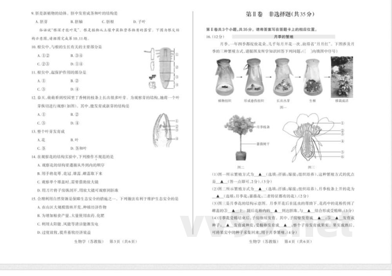 2025年苏教版七年级下册生物期中质量检测试卷 2025年苏教版七年级下册生物期中质量检测试卷