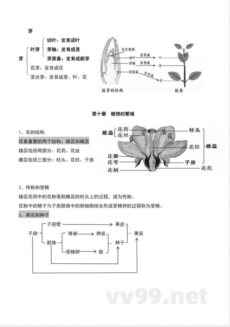 2025苏教版七年级下册生物复习提纲