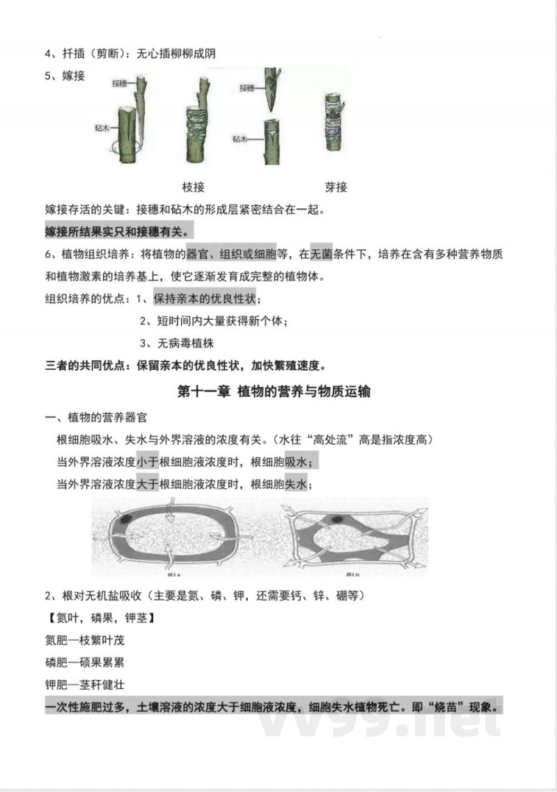 2025苏教版七年级下册生物复习提纲