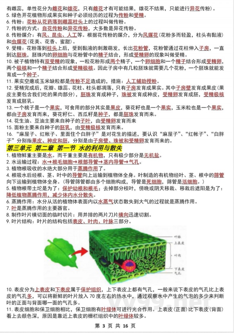 七年级下册生物期中必考实验题