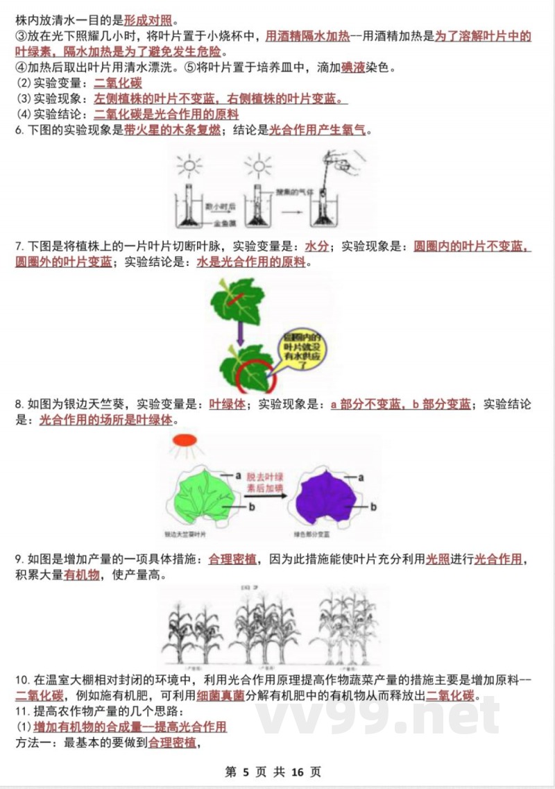 七年级下册生物期中必考实验题