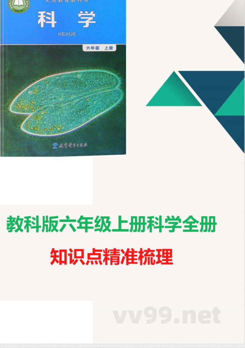 教科版六年级上册科学全册知识点精准梳理 教科版六年级上册科学全册知识点精准梳理