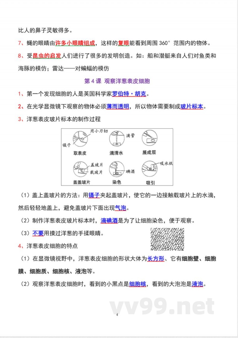教科版六年级上册科学全册知识点精准梳理 教科版六年级上册科学全册知识点精准梳理