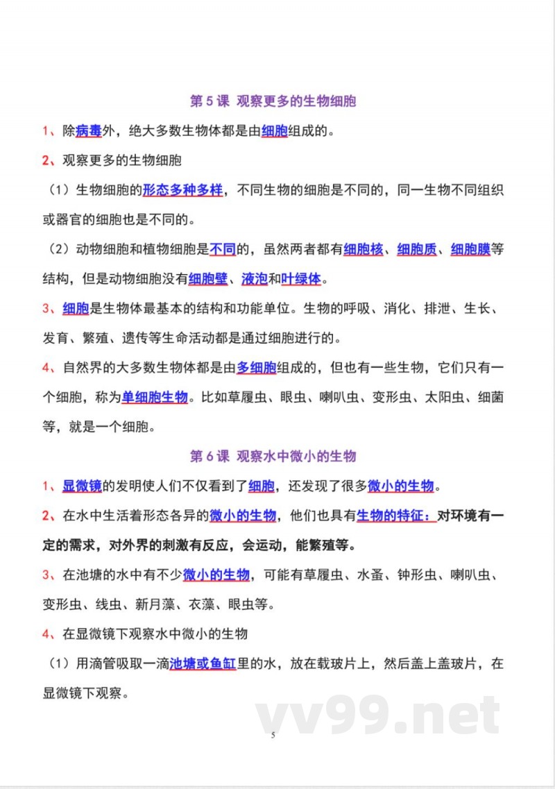 教科版六年级上册科学全册知识点精准梳理 教科版六年级上册科学全册知识点精准梳理