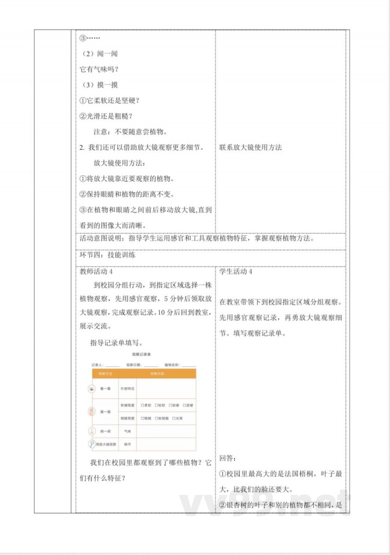 2.5《观察植物》大单元教学设计 2025粤教粤科版科学一年级下册 2.5《观察植物》大单元教学设计 2025粤教粤科版科学一年级下册