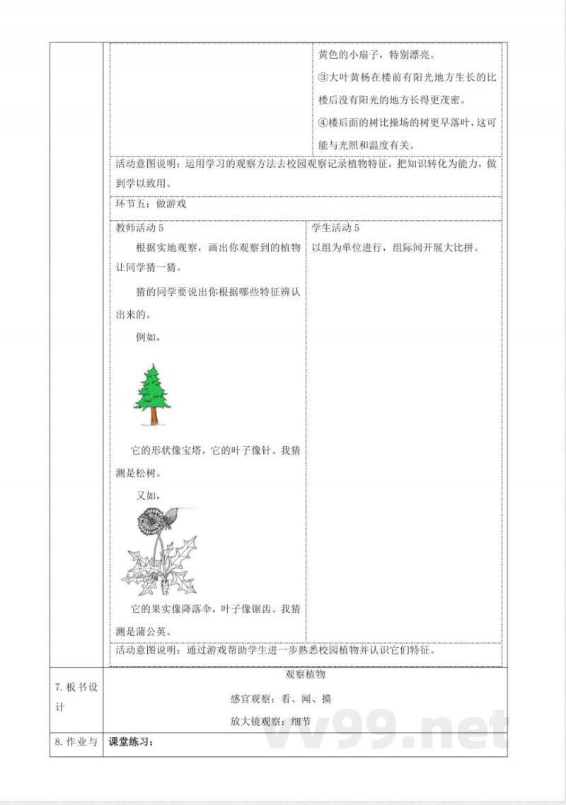 2.5《观察植物》大单元教学设计 2025粤教粤科版科学一年级下册 2.5《观察植物》大单元教学设计 2025粤教粤科版科学一年级下册