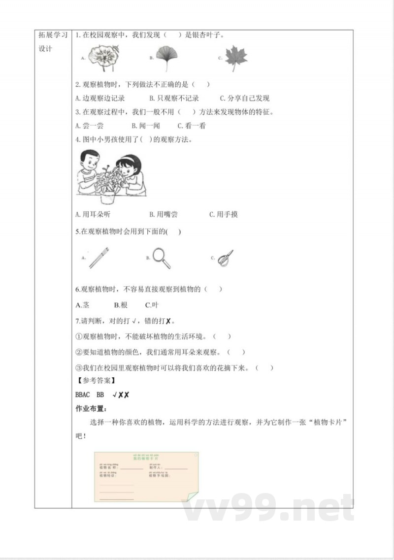 2.5《观察植物》大单元教学设计 2025粤教粤科版科学一年级下册 2.5《观察植物》大单元教学设计 2025粤教粤科版科学一年级下册