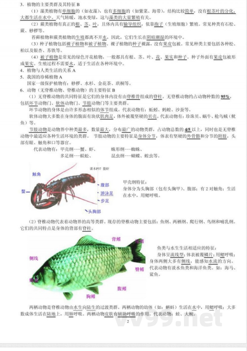 苏教版生物八年级下册复习提纲L 苏教版生物八年级下册复习提纲L