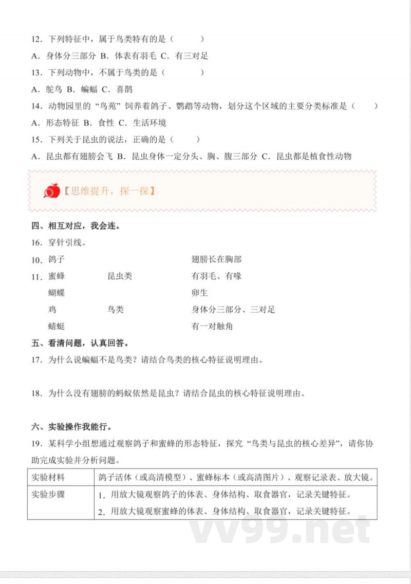 1.2 鸟与昆虫(分层作业)科学粤教粤科版三年级下册2025 1.2 鸟与昆虫(分层作业)科学粤教粤科版三年级下册2025