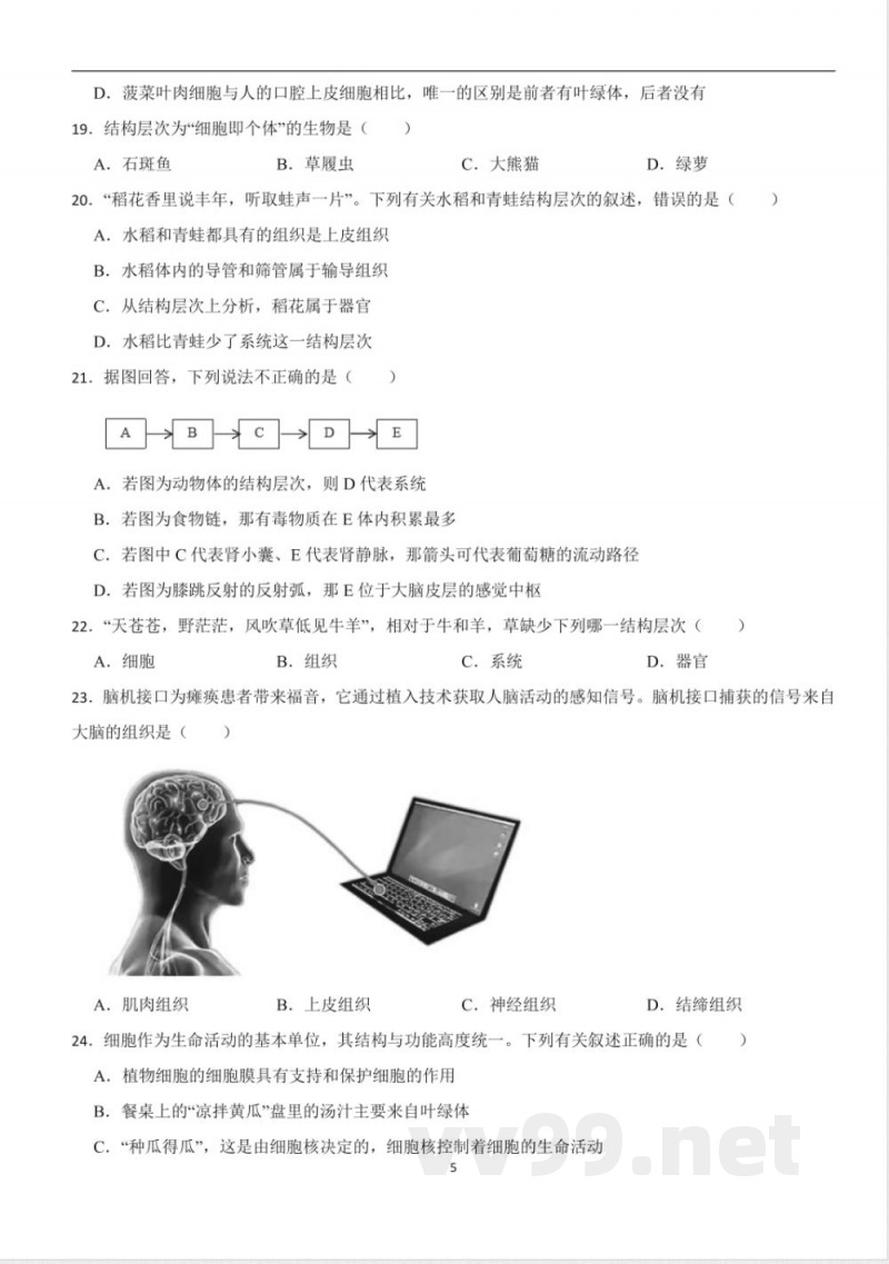 [七年级生物]人教版生物七年级上册期中考前训练卷