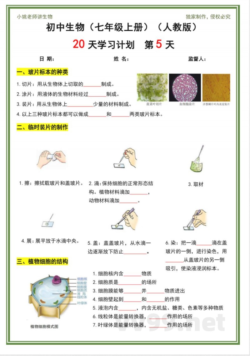 人教版七年级上册生物20天计划 人教版七年级上册生物20天计划