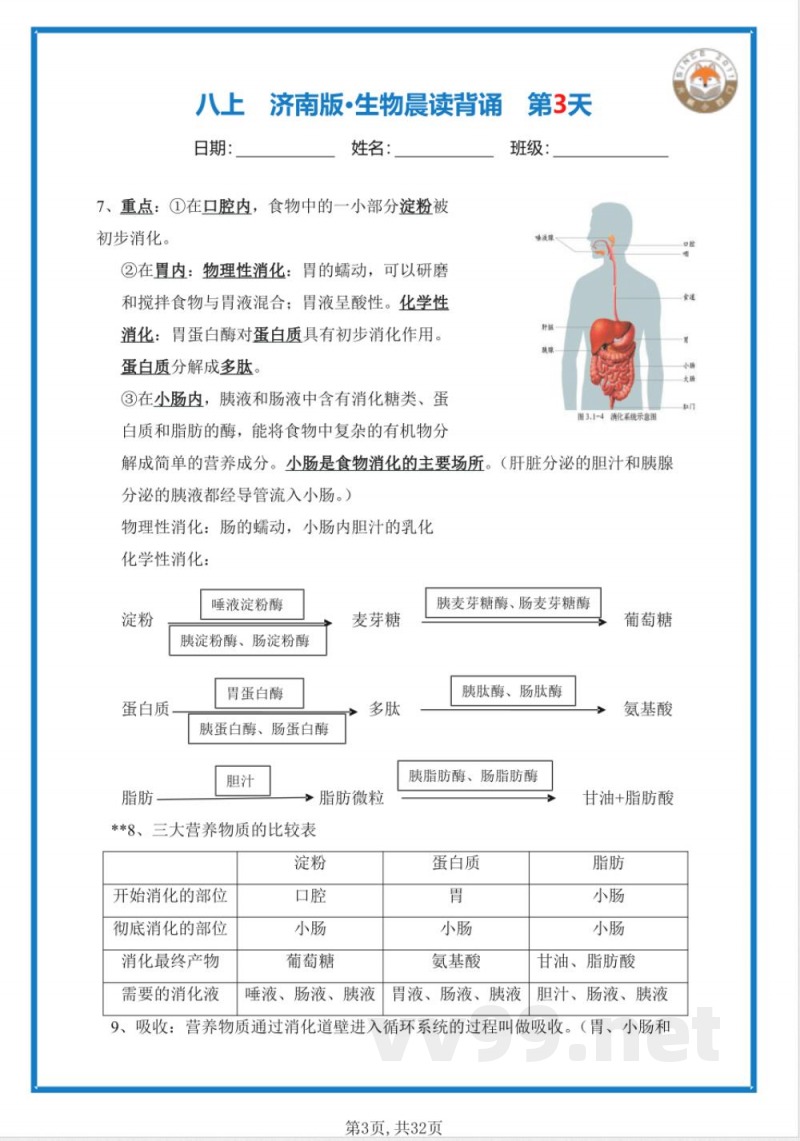 【25新济南版】八年级上册生物早读晚默（答