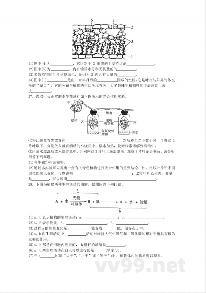七年级生物上册单元测试(五)