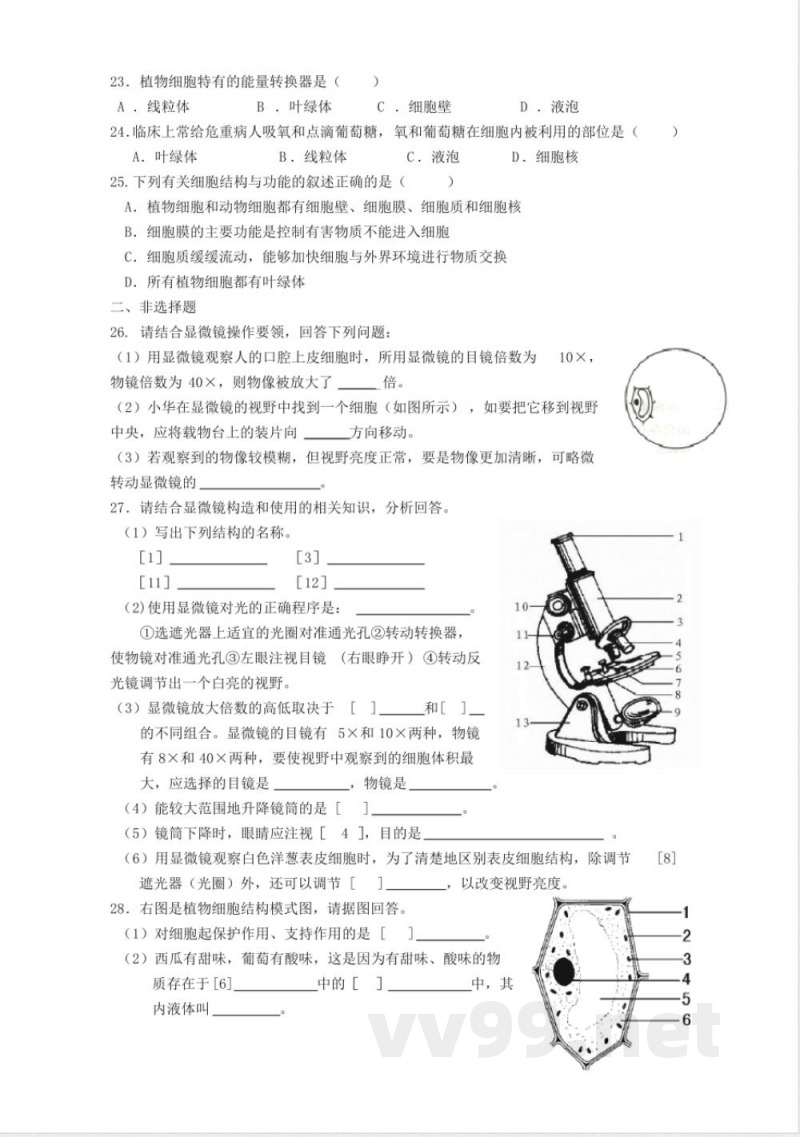 七年级生物上册单元测试(二)