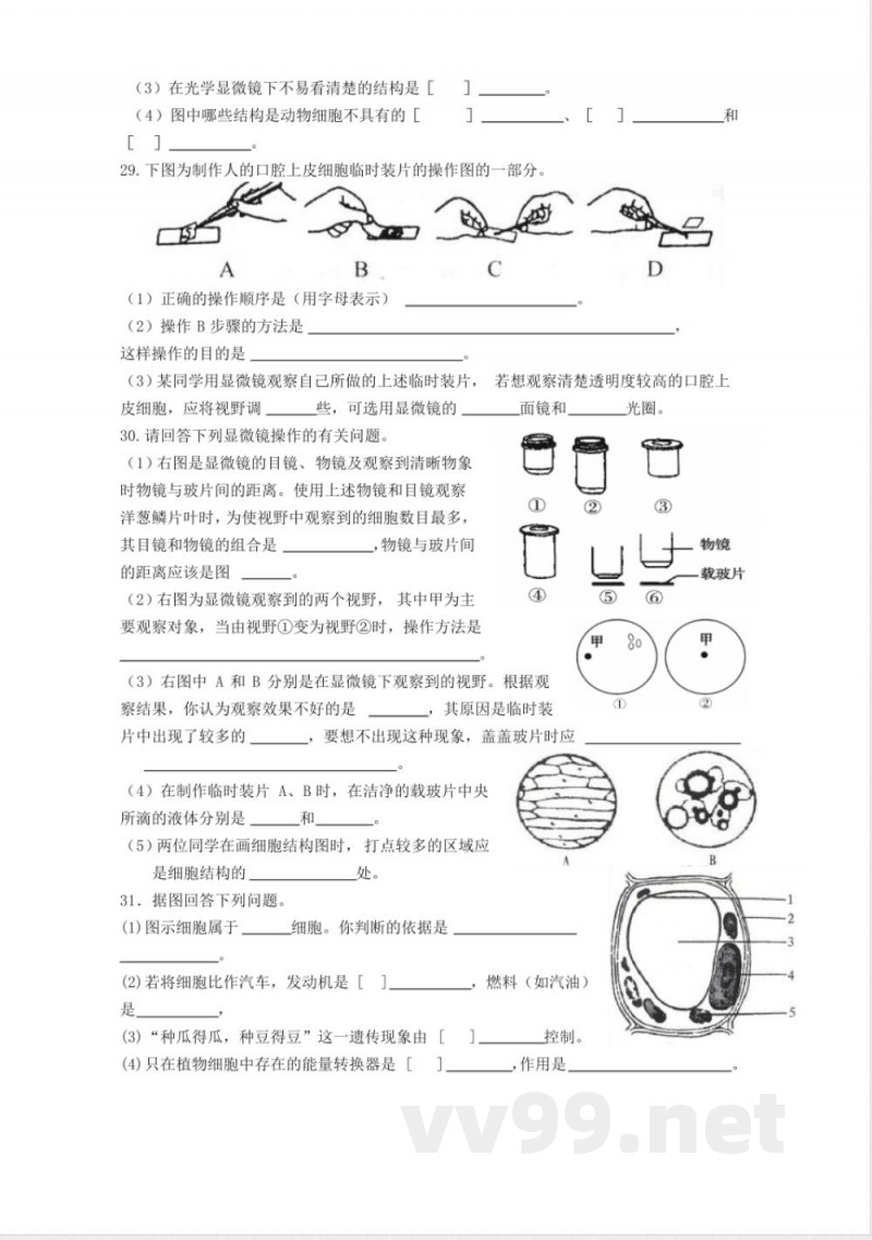 七年级生物上册单元测试(二)