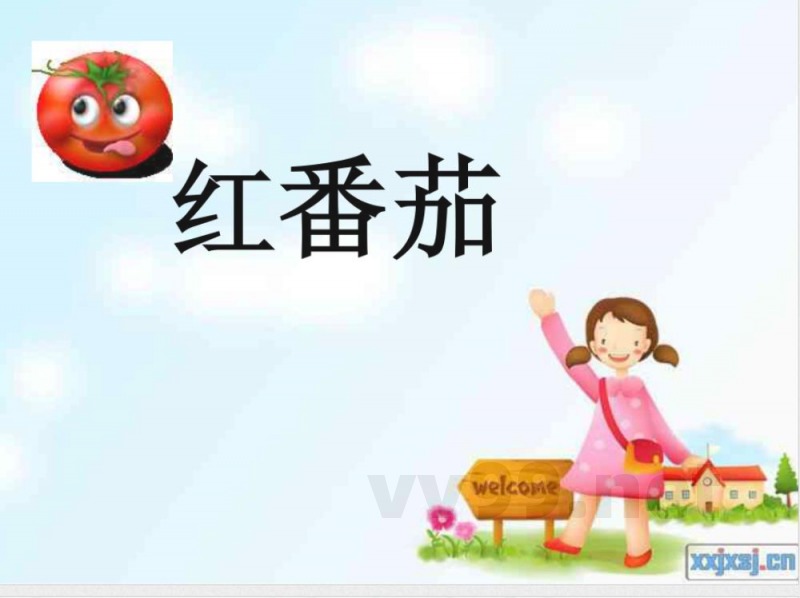 三年级上册科学《番茄》粤教版