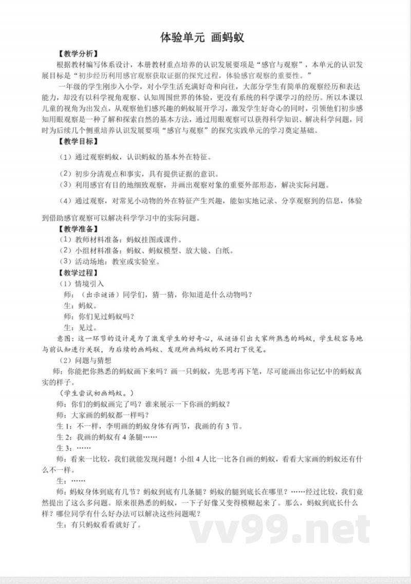体验单元 画蚂蚁 教案 2025大象版科学一年级上册 体验单元 画蚂蚁 教案 2025大象版科学一年级上册