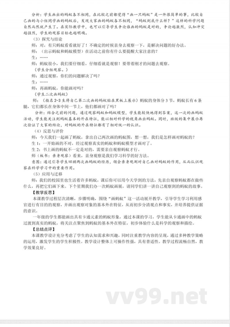 体验单元 画蚂蚁 教案 2025大象版科学一年级上册 体验单元 画蚂蚁 教案 2025大象版科学一年级上册