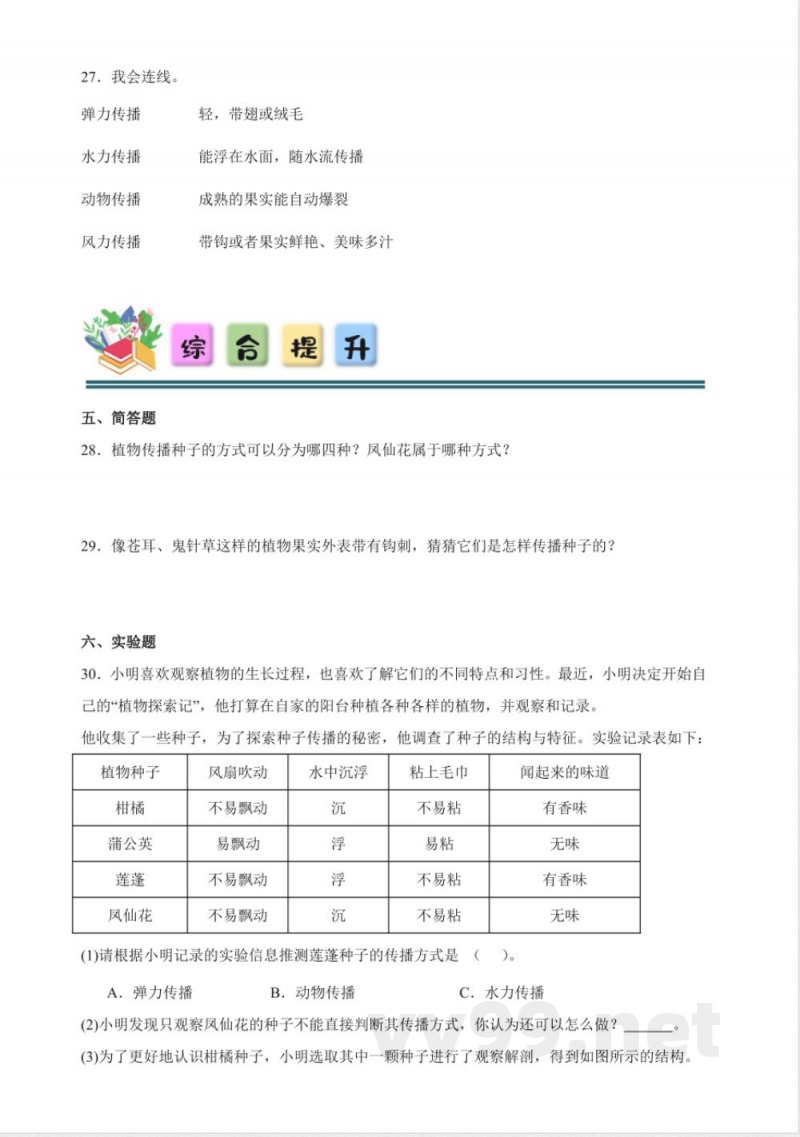 1.7 种子的传播 分层练习(含答案) 教科版科学四年级下册 1.7 种子的传播 分层练习(含答案) 教科版科学四年级下册