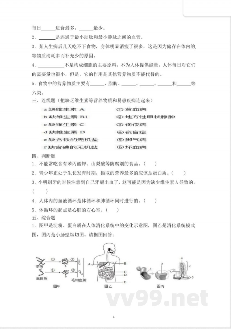 苏科版（2024）八年级上册生物学期中质量检测题 （含答案）