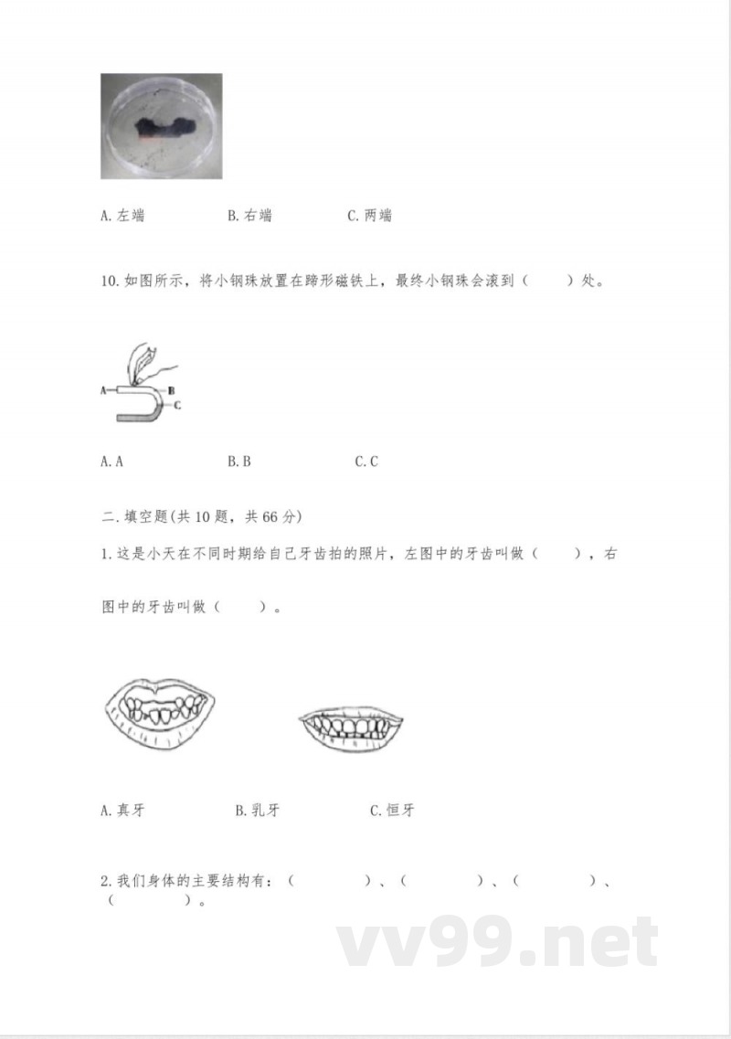 教科版二年级下册科学知识点期末测试卷丨精品(名师系列) 教科版二年级下册科学知识点期末测试卷丨精品(名师系列)