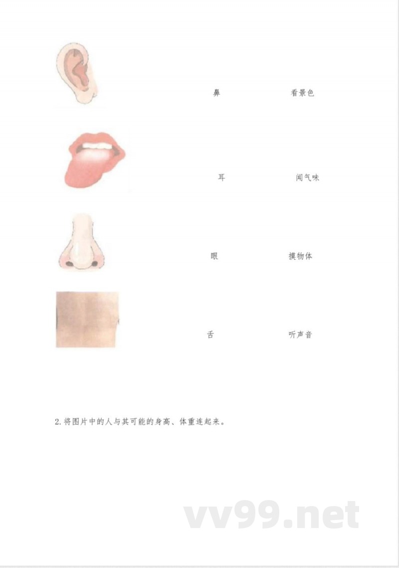 教科版二年级下册科学知识点期末测试卷丨精品(能力提升) 教科版二年级下册科学知识点期末测试卷丨精品(能力提升)
