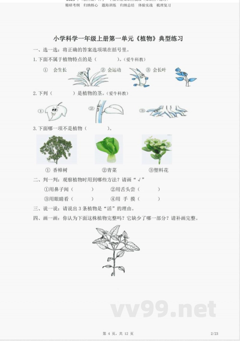 2023年(教科版)一年级上册《科学》知识点梳理(知识点 练习) 2023年(教科版)一年级上册《科学》知识点梳理(知识点 练习)