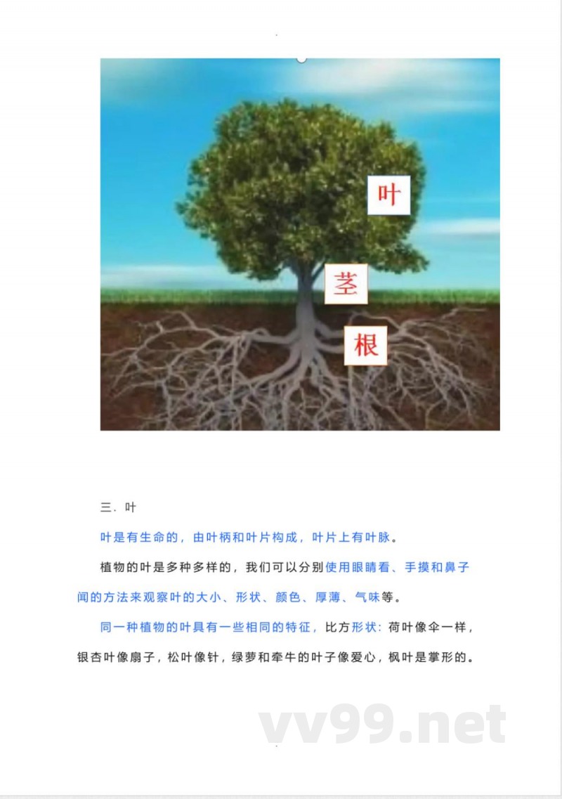 教科版科学一年级上册期末复习知识点总结 教科版科学一年级上册期末复习知识点总结