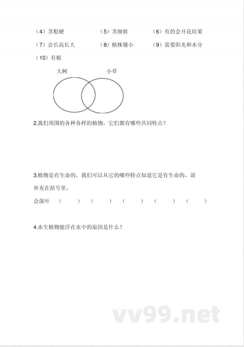 三年级上册科学练习题