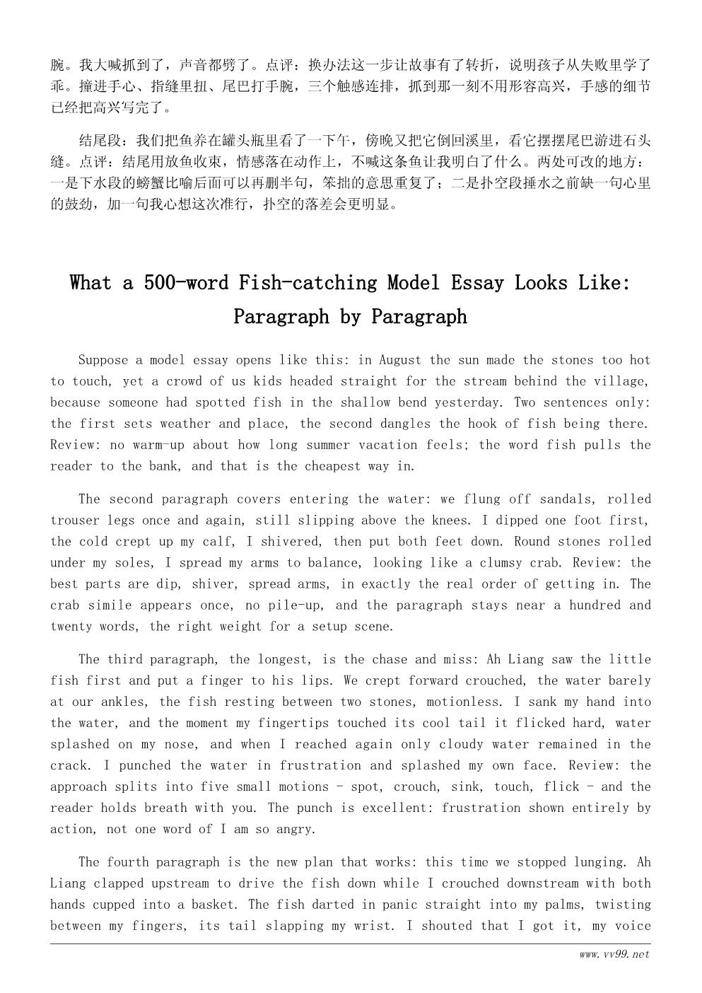 六年级小溪边的夏天作文500字范文：那年夏天的捉鱼记
